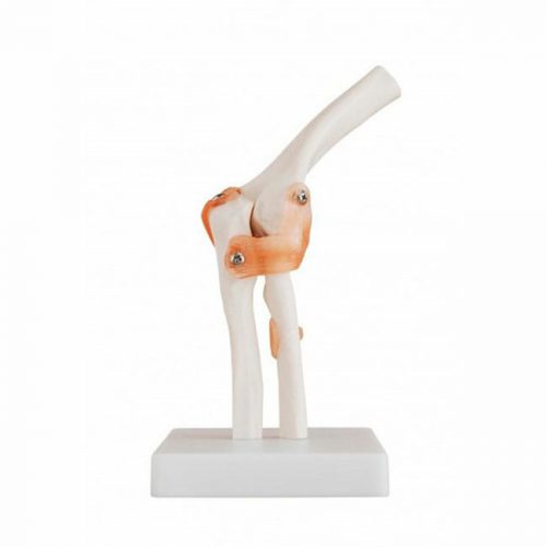 ARTMED MODELO ARTICULACIÓN CODO XC112