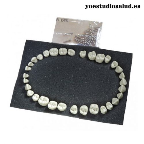 DIENTES PARA TIPODONTO AG3