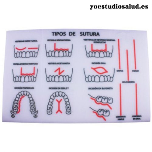 ESPONJA PRÁCTICA DE SUTURA