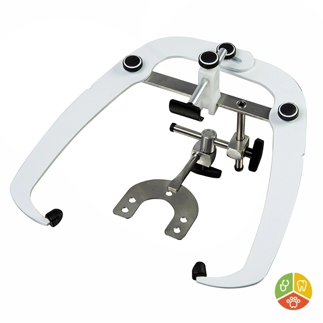 ARTICULADOR Y ARCO ESTANDAR BIO-ART 4000S - Imagen 2