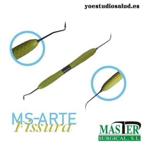 MS-ARTE FISSURA