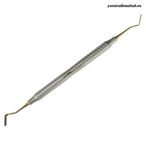 GOLDSTEIN TITANIO