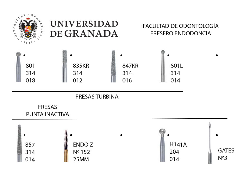 Foret d'endodontie pour l'Université de Grenada.