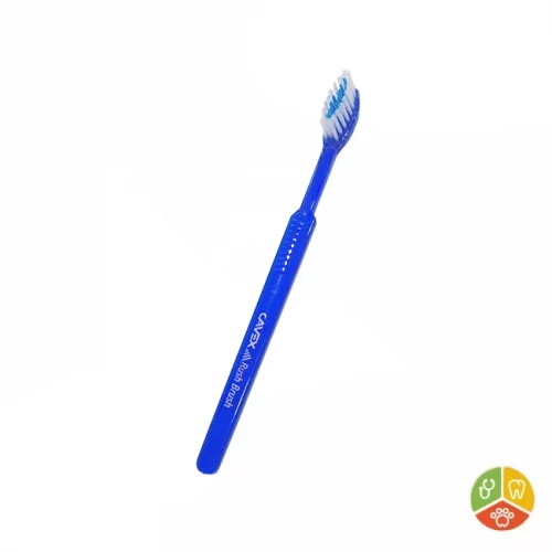 CEPILLO DE DIENTES CON PASTA